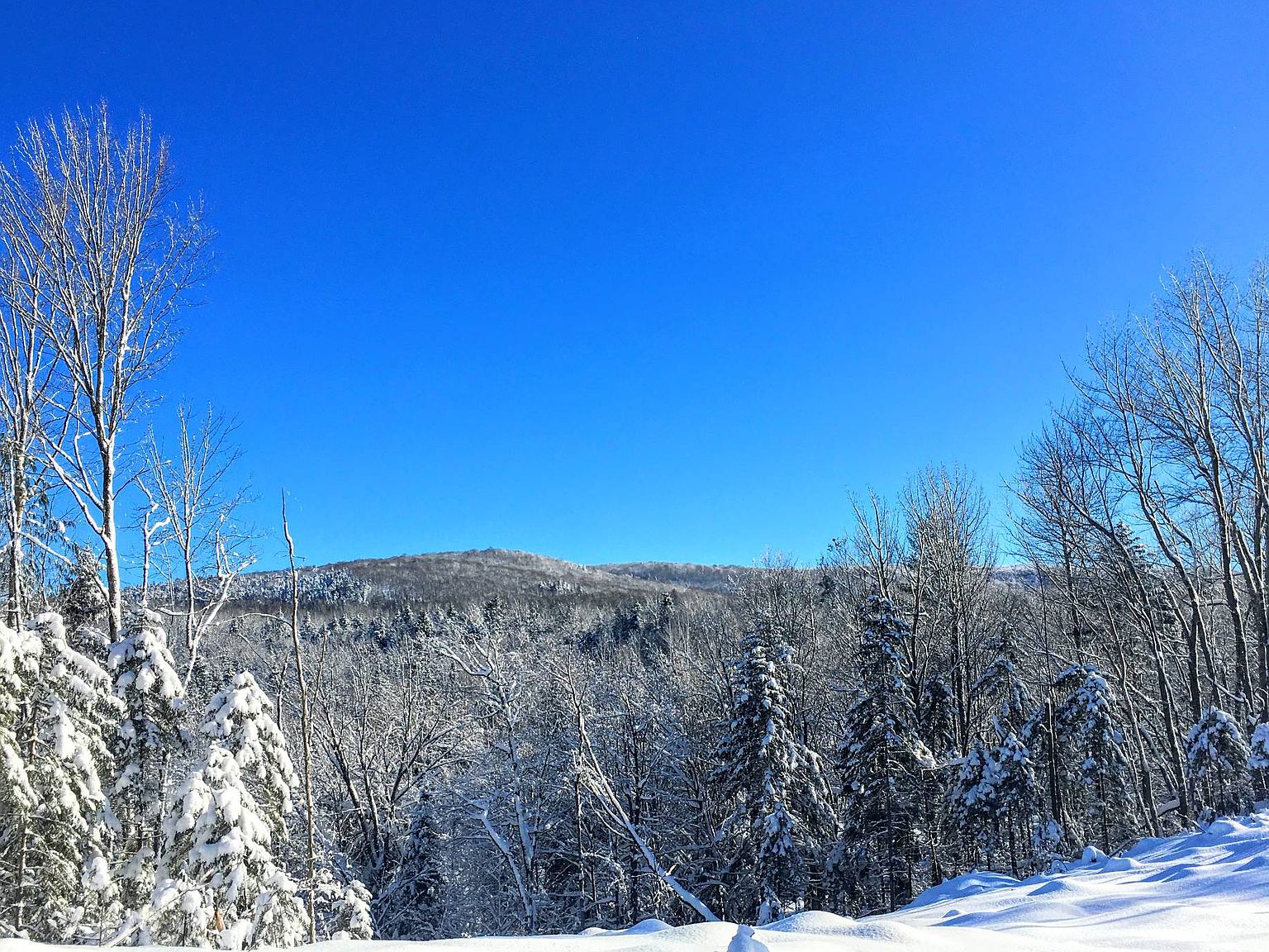 0 Rd, Malone, NY 12953 Zillow