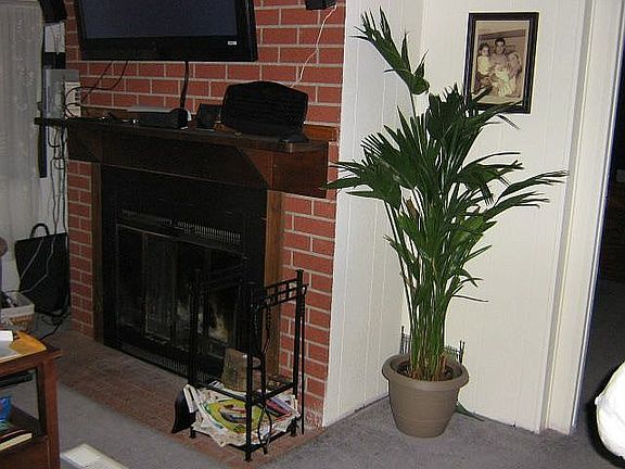 Living/Fireplace