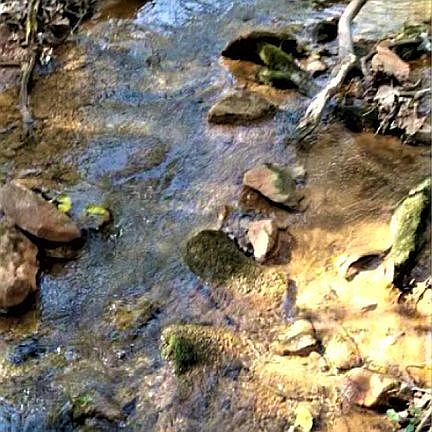 Stream