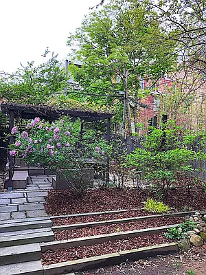 Rented by Compass | media 19