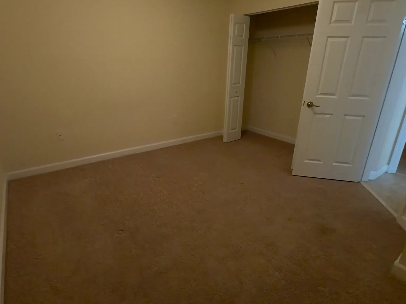 3 bed, 1681 sqft, $2,900 — Photo 4