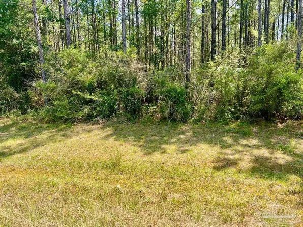 LOT 5 Rs Hwy #182, Jay, FL 32565