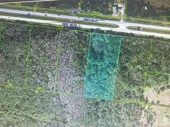 0 STATE ROAD 60 E LOT 9 ROAD N LOT 9, LAKE WALES, FL 33898