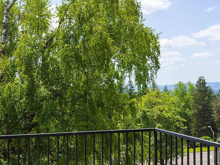 Elevation at Mountain Park — Photo 27