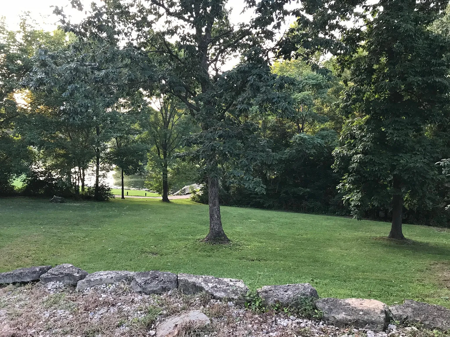 5 bed, 5345 sqft, $4,500 — Photo 4
