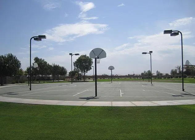 Basketball anyone?!