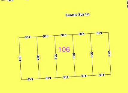 4th image of 106 Tammie Sue Ln