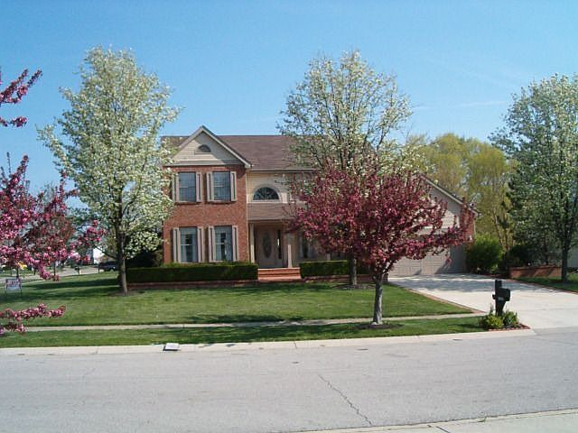 spring 2008