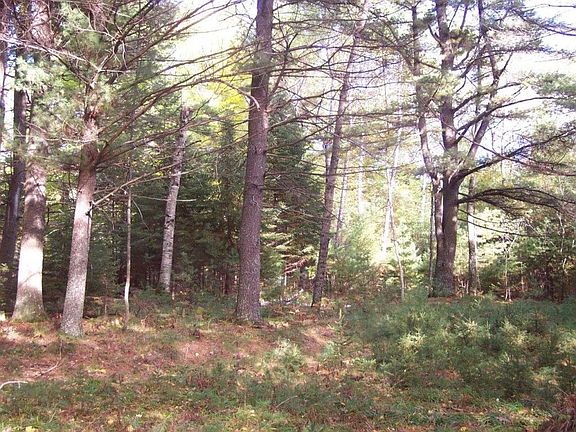 5th image of Woodland Cir Lot 29