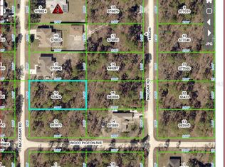 18020 Macassar Rd, Brooksville, FL 34614