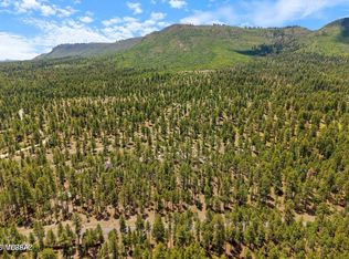 98 County Road 2266, Alpine, AZ 85920