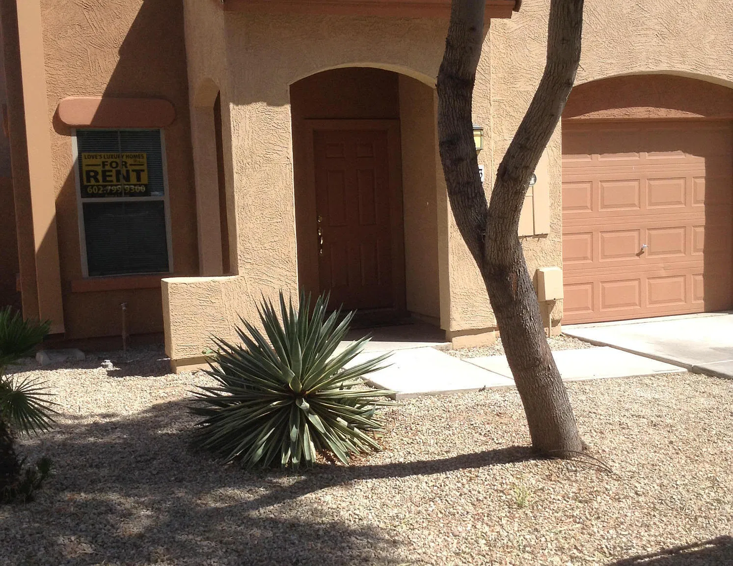 1886 E Don Carlos Ave — Photo 2