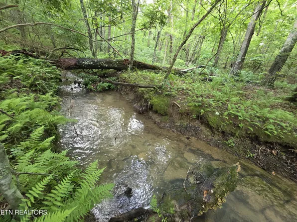 12 Street Place Loop, Monterey, TN 38574