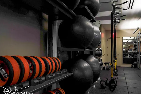 Rented by Platinum Properties | media 25