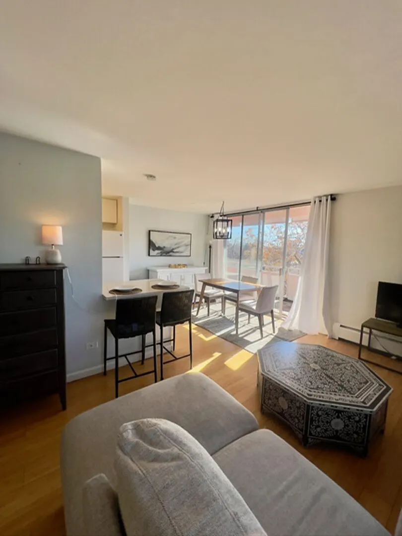 937 N Clarkson St Denver Co APT 506 — Photo 2