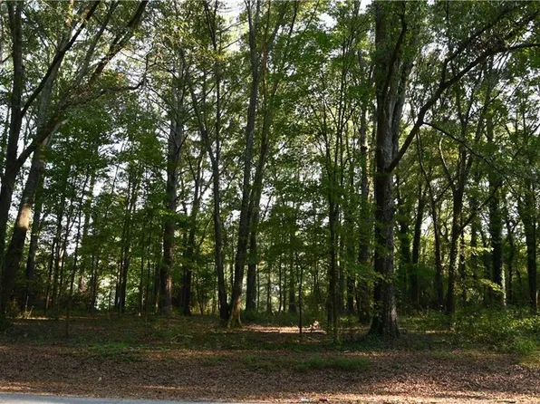 Township Road 2 Hwy #213-3828, Mansfield, GA 30055
