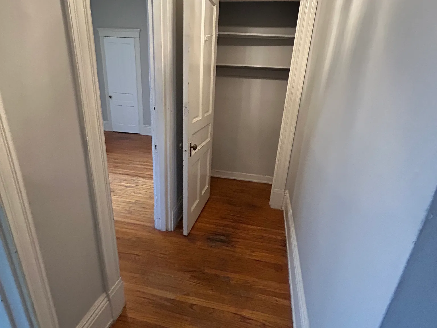 Studio, 294 sqft, $900 — Photo 3