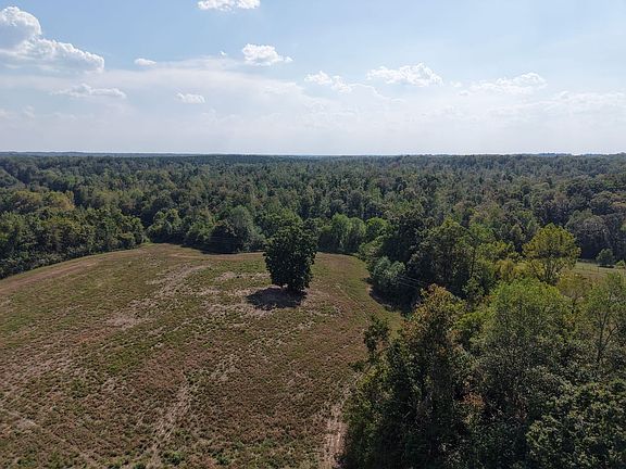 Dji Fly 20250917 150312 0435 1758153629703 Photo