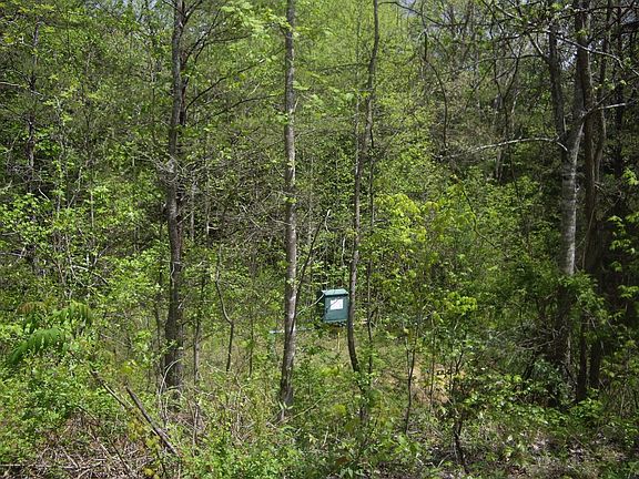 4th image of 9999 Hemlock St Lot 9999
