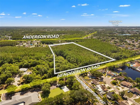 12591 Henderson Rd, Tampa, FL 33625