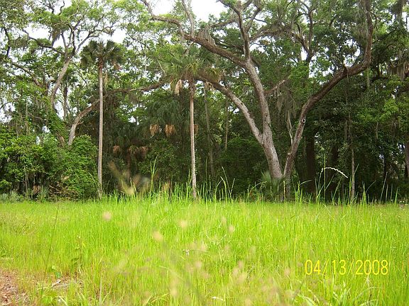 looking northwest across the yard