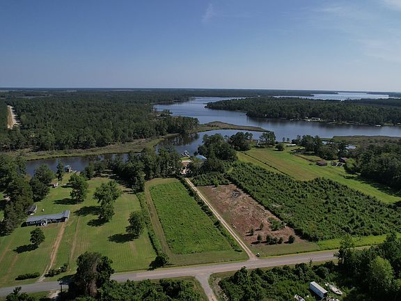 4th image of 413 Alligator Loop Rd