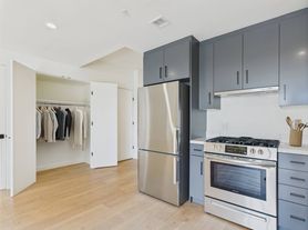 Vica Silver Lake