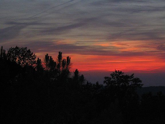 Evening Deck View