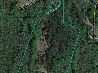 103 Smith Ln, Ideal, GA 31041