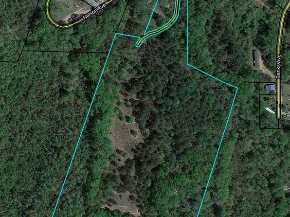 103 Smith Ln, Ideal, GA 31041