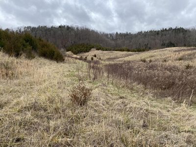 00 Lonesome Pine Trl, Greeneville, TN, 37745