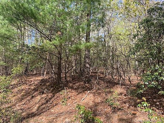 3rd image of 0 Red Oak Dr Lot 293