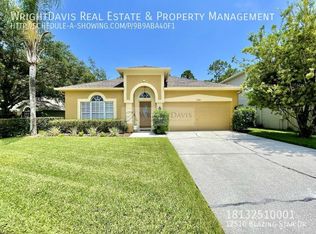 12510 Blazing Star Dr, Tampa, FL 33626