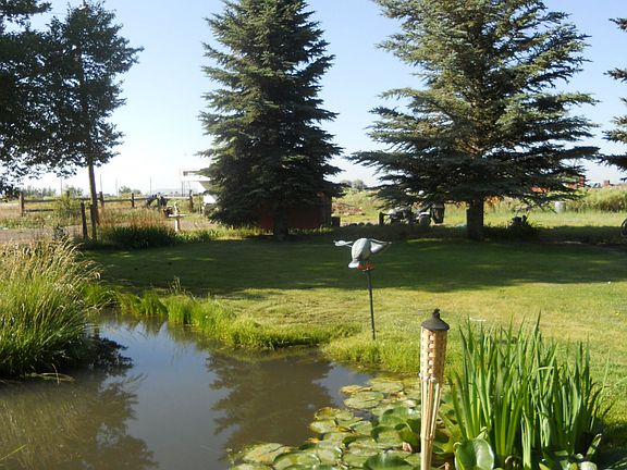 View from patio