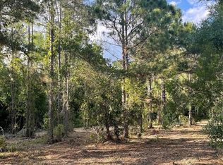 8401 Amelia Trl Lot 45, Kissimmee, FL 34747