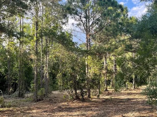 8401 Amelia Trl Lot 45, Kissimmee, FL 34747