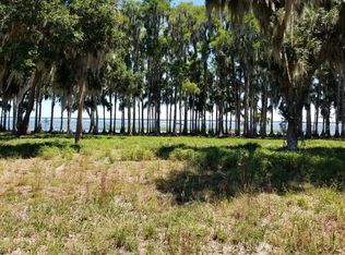 34900 Golden Tree Dr, Leesburg, FL 34788