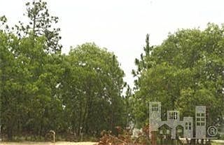 1st image of 6474 Bradbury Court #BB
