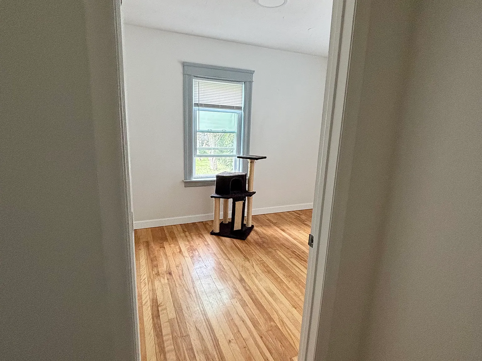 8 Enid St — Photo 3