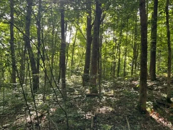 900 Burdett Rd, Edmonton, KY 42129