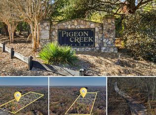 29 Pigeon Creek Dr, Dawsonville, GA 30534