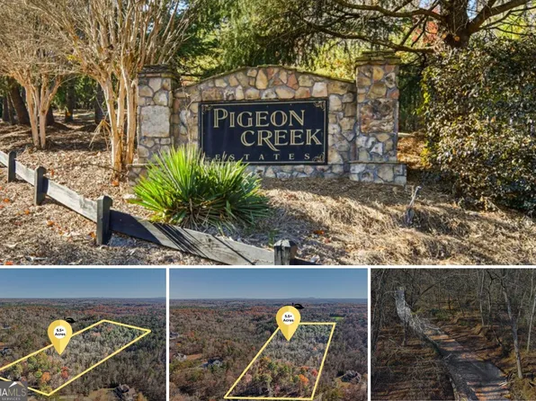 29 Pigeon Creek Dr, Dawsonville, GA 30534