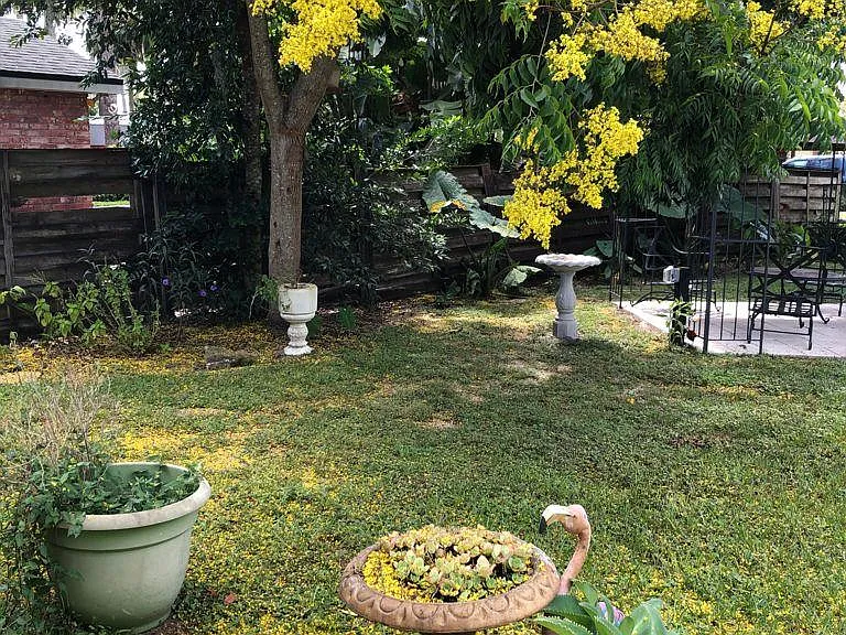 Beautiful backyard