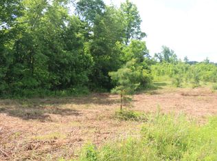 1 N Nopone Valley Rd, Decatur, TN 37322