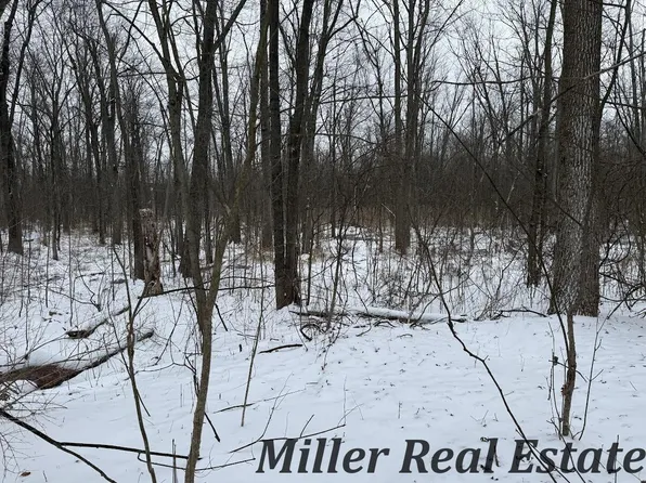 David Dr, Hastings, MI 49058