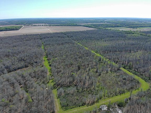 2nd image of Ellis Ln