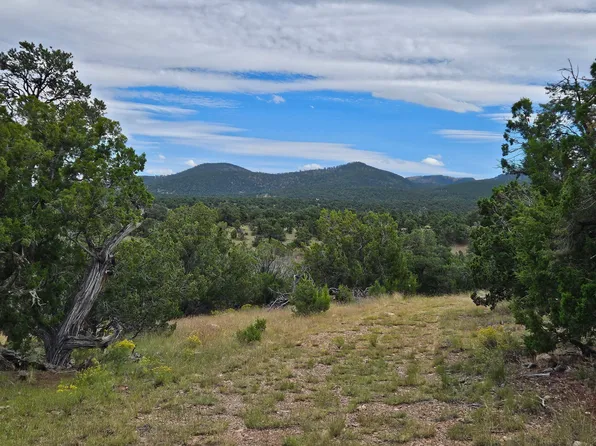 43 Carson Dr, Datil, NM 87821
