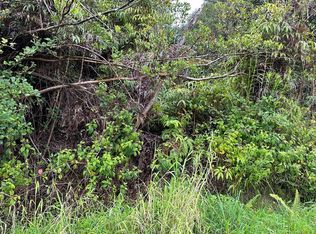 Hilohilo St LOT 14, Volcano, HI 96785