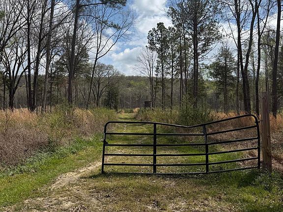 2nd image of Calico Rd