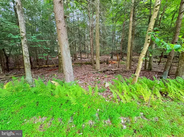 LOT 12 Orion Way, Lake Ariel, PA 18436